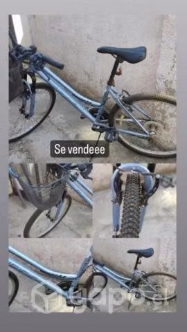 Bicicleta de paseo