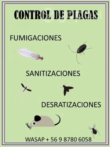 Fumigaciónes