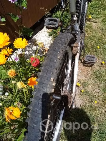 Bicicleta aro 26