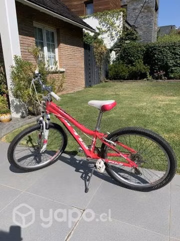 Bicicleta Fuji Dynamite - Imagen 2