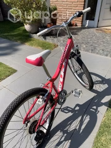Bicicleta Fuji Dynamite - Imagen 3