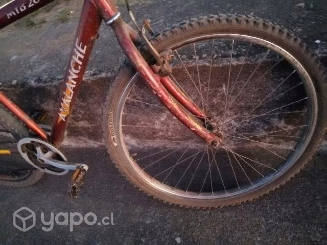 Bicicleta