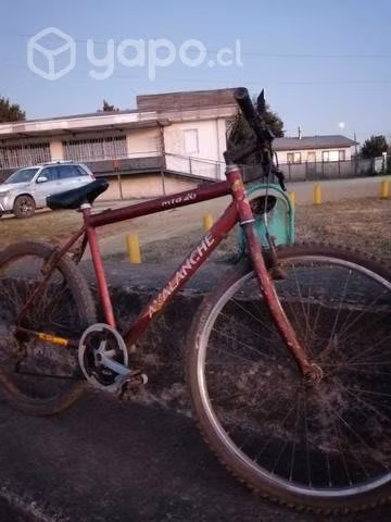 Bicicleta - Imagen 2