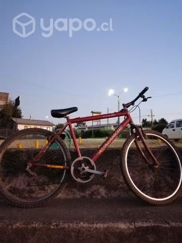 Bicicleta - Imagen 4