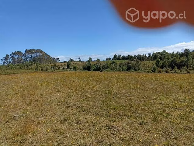 Parcela colaco (calbuco)
