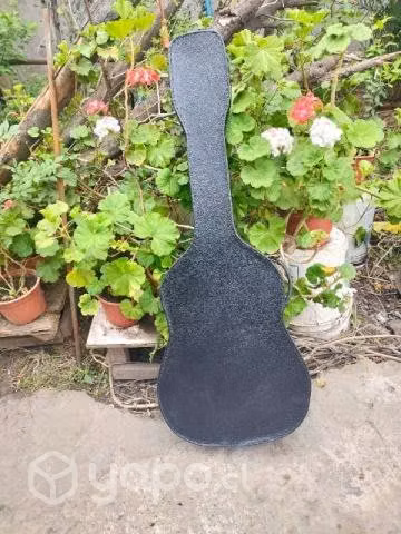 Case guitarra clásica