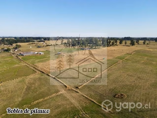 Parcelacion Robles de Pilauco a 3 km de osorno