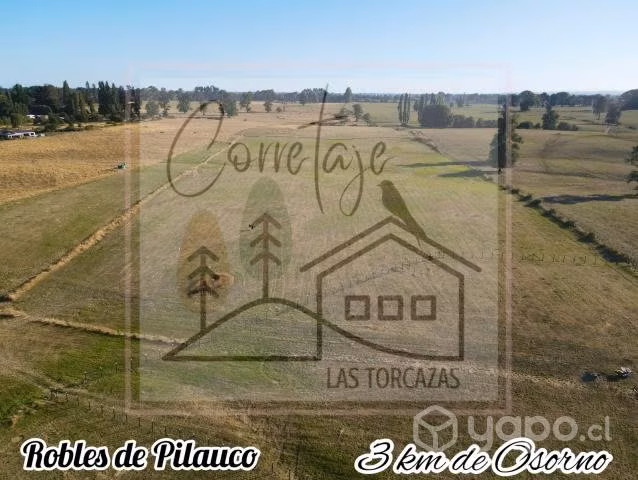 Parcelacion Robles de Pilauco a 3 km de osorno