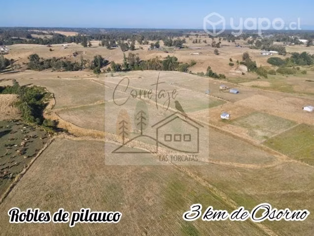 Parcelacion Robles de Pilauco a 3 km de osorno