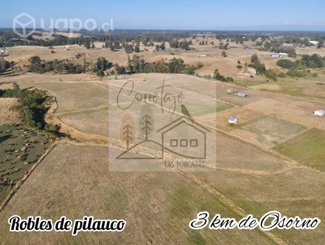 Parcelacion Robles de Pilauco a 3 km de osorno