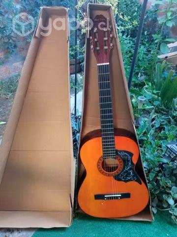 Guitarra acústica Pearl River