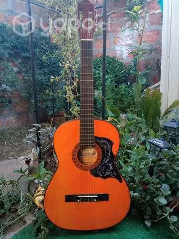 Guitarra acústica Pearl River