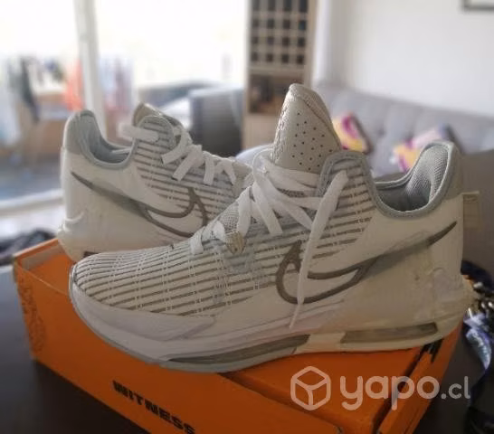 Nike Lebron witness VI