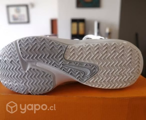 Nike Lebron witness VI