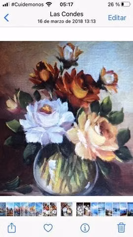 Cuadros Originales , Artista ,Norma Cupé