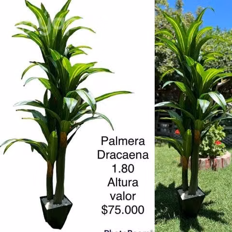 Plantas Artificiales - Imagen 3