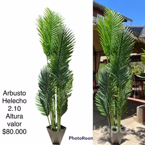 Plantas Artificiales - Imagen 2