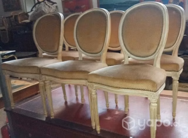 6 elegantes sillas francesa medallón