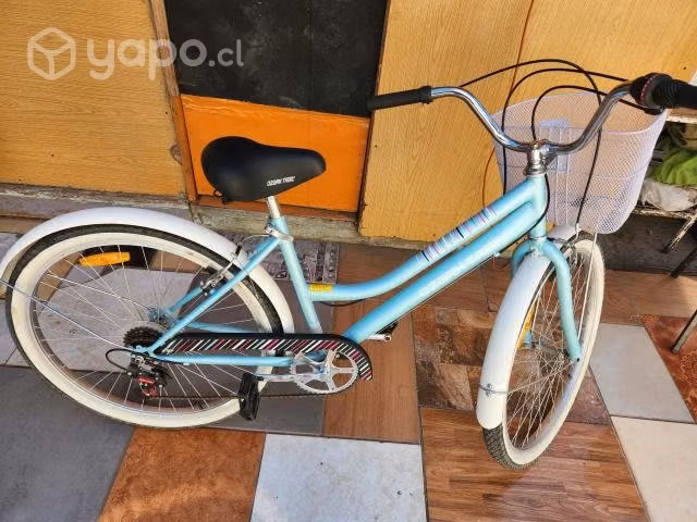 Bicicleta de paseo