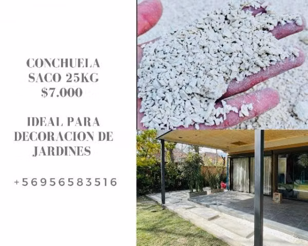Conchuela decorativa
