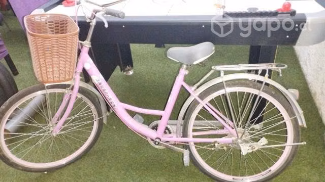 Bicicleta de paseo conversable