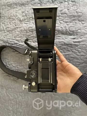 Zenti xp12