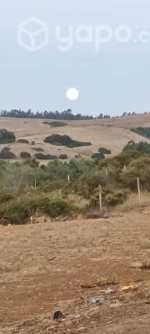 Parcela de agrado
