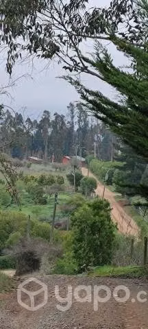 Parcela de agrado
