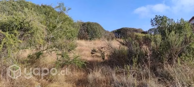 Parcela de agrado
