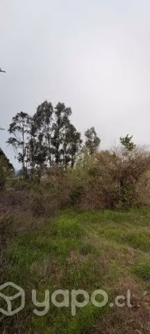 Parcela de agrado