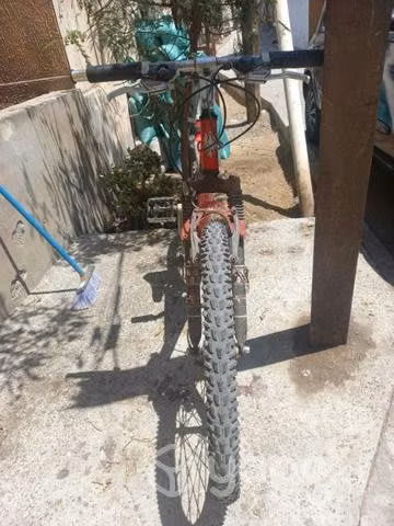 Bianchi aro 26