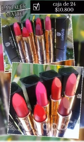 Caja de 24 labiales matte