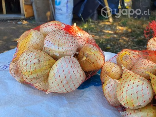Económico Ajo Chilote Para Cocina Gourmet