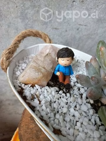 Terrarios con suculentas - Imagen 4