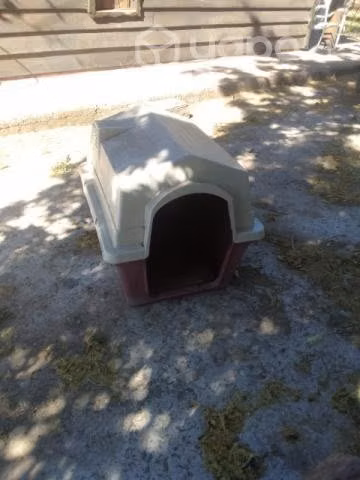 Casa de perro mediano a grande - Imagen 3