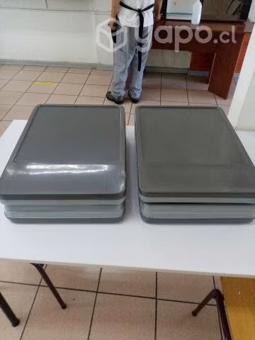 Bandejas isotermicas CLINICAS
