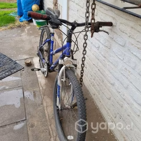 Bici trek 26