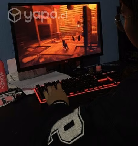 Monitor 215