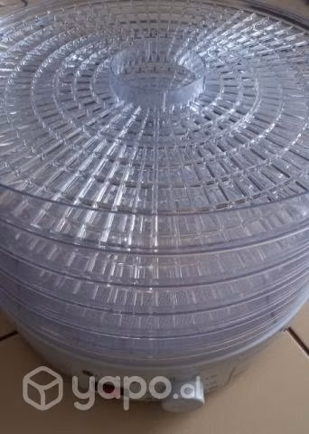 Desidratador de alimentos