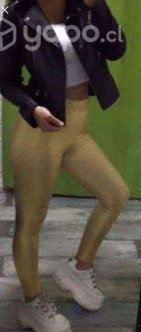 Calza efecto eco cuero - Imagen 2