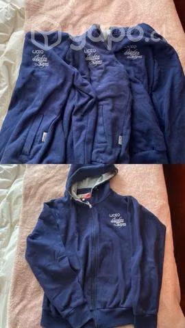 Uniforme liceo isidora zegers