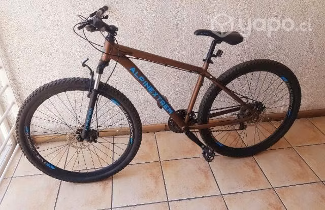 Bicicleta Mountain bike Alpinextrem Melvin