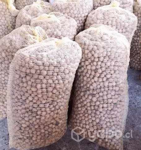 Nueces Chandler pequeñas
