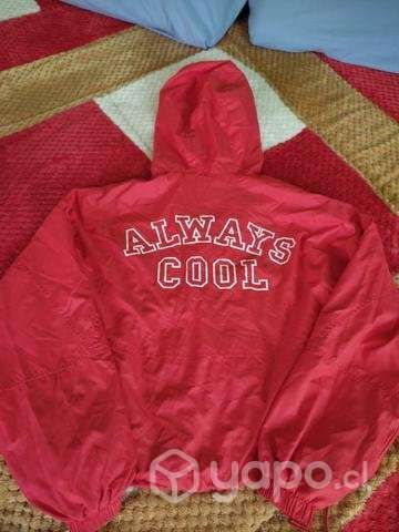 Chaquetas - Imagen 4