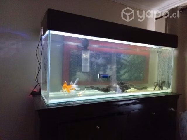Pecera más mueble