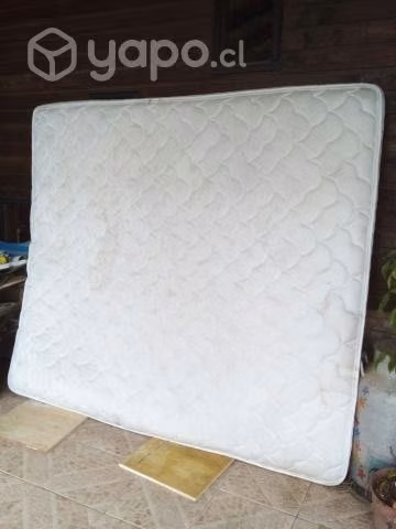 Cama