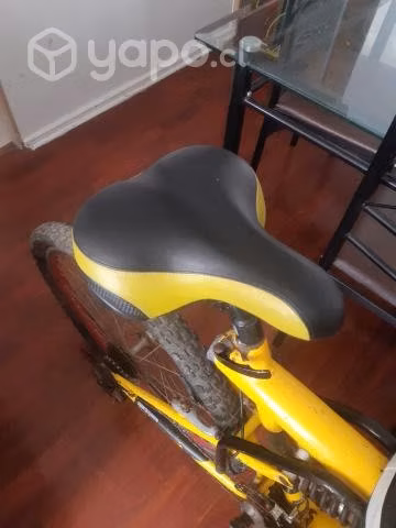 Bicicleta con silla de niño