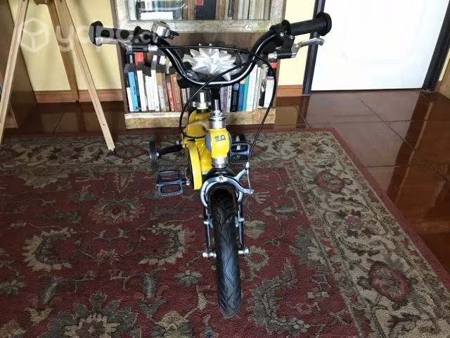 Bicileta de niño o niña