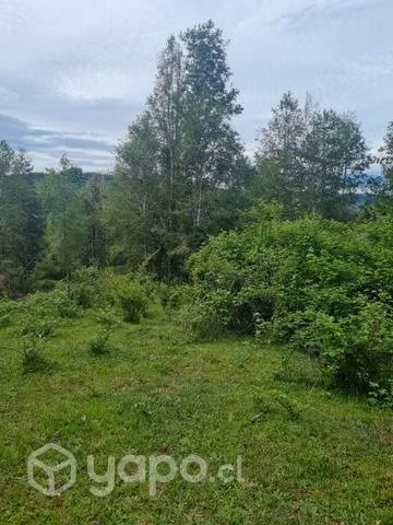 Campo comuna de fresia.décima región