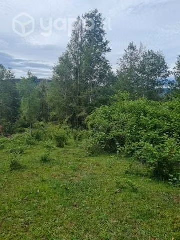 Campo comuna de fresia.décima región